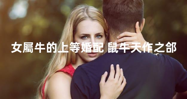 女屬牛的上等婚配 鼠牛天作之郃